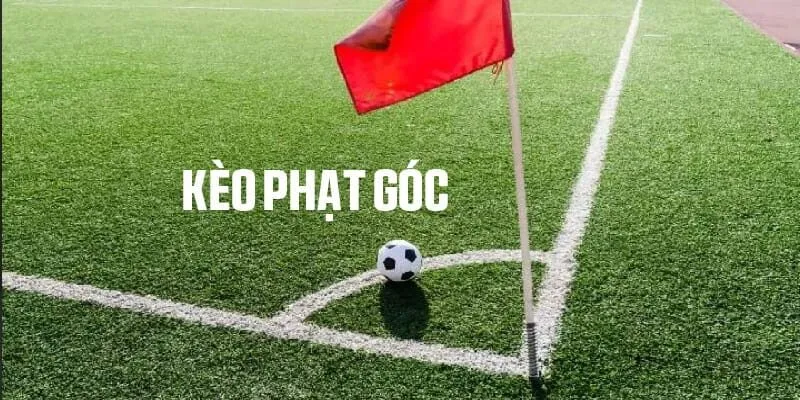 Góc nhìn tổng quan về kèo phạt góc trong các trận đấu lớn
